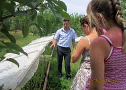 Розсадник декоративних і лісових культур в урочищі ,,Дальницький ліс,, Великодолинського ЛГ